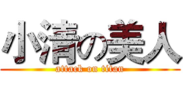 小清の美人 (attack on titan)