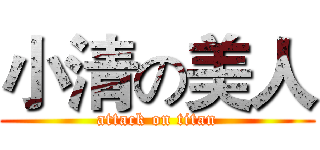 小清の美人 (attack on titan)