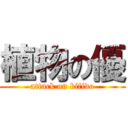 植物の優 (attack on bifido)