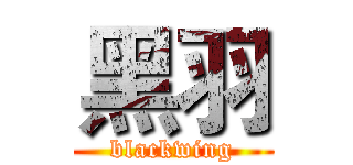 黑羽 (blackwing)