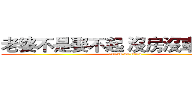 老婆不是娶不起 沒房沒車誰嫁你 (attack on titan)