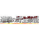 進擊の野生猴怪 (attack on titan)