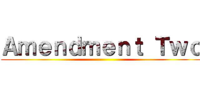 Ａｍｅｎｄｍｅｎｔ Ｔｗｏ ()