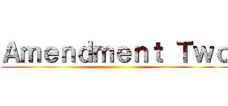 Ａｍｅｎｄｍｅｎｔ Ｔｗｏ ()