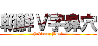 朝鮮Ｖ字鼻穴 (Silicone Boob)