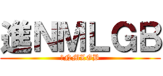 進ＮＭＬＧＢ (进NMLGB)