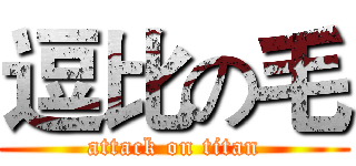 逗比の毛 (attack on titan)