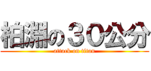 柏淵の３０公分 (attack on titan)