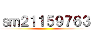 ｓｍ２１１５９７６３ ()