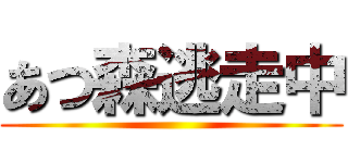 あつ森逃走中 ()