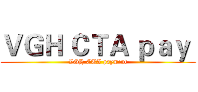 ＶＧＨ ＣＴＡ ｐａｙ  (VGH CTA payment)