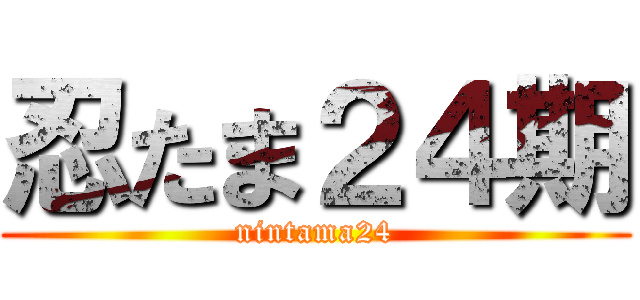 忍たま２４期 (nintama24)