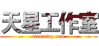 天星工作室 (tianxing.com)
