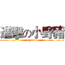 進擊の小野豬 (my love)