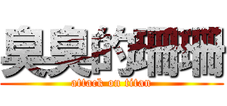 臭臭的珊珊 (attack on titan)
