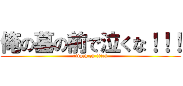 俺の墓の前で泣くな！！！ (attack on titan)