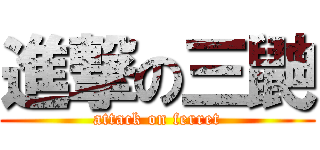 進撃の三鼬 (attack on ferret)