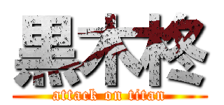 黒木柊 (attack on titan)