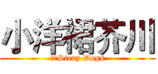 小洋裙芥川 (文豪Stray Dogs)