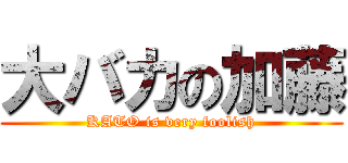 大バカの加藤 (KATO is very foolish)