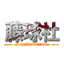 藤球社 (Sepak takraw)