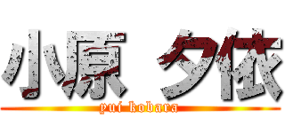 小原 夕依 (yui kobara)