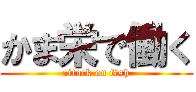 かま栄で働く (attack on fish)