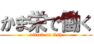 かま栄で働く (attack on fish)