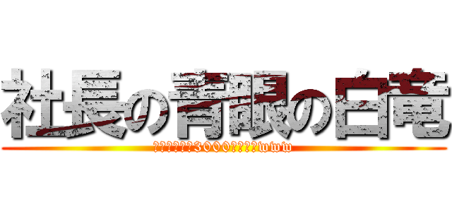 社長の青眼の白竜 (あぁ？攻撃力3000?ｸｯｿwww)