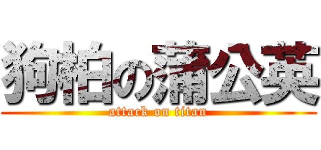 狗柏の蒲公英 (attack on titan)