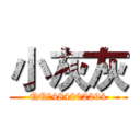 小灰灰 (QQ：484002294)