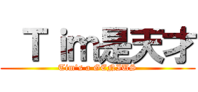  Ｔｉｍ是天才 (Tim\'s a GENIUS)