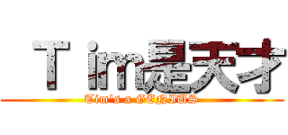  Ｔｉｍ是天才 (Tim\'s a GENIUS)