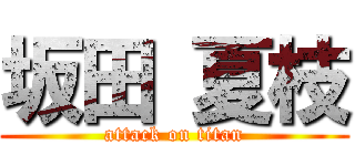 坂田 夏枝 (attack on titan)