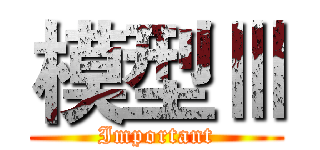 模型Ⅲ (Important)