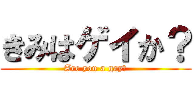 きみはゲイか？ (Are you a gay?)