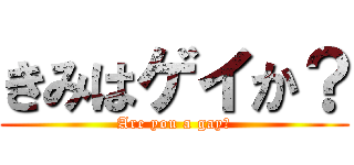 きみはゲイか？ (Are you a gay?)