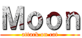 Ｍｏｏｎ (attack on cat)