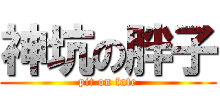 神坑の胖子 (pit on fate)
