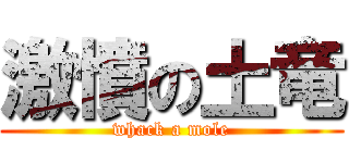 激憤の土竜 (whack a mole)