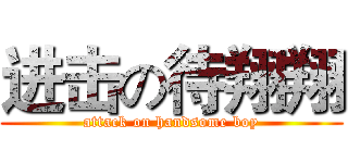 进击の待翔翔 (attack on handsome boy)