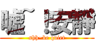 嘘~！安靜 (shh~be quiet)