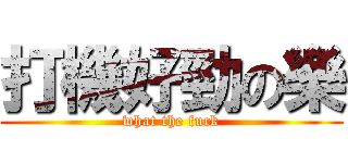 打機好勁の樂 (what the fuck)