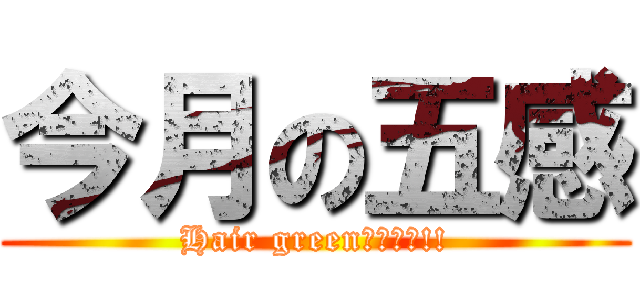 今月の五感 (Hair greenオススメ!!)