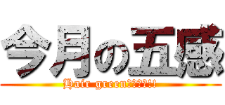 今月の五感 (Hair greenオススメ!!)