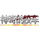 神奇的校车 (动画)