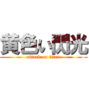 黄色い閃光 (attack on titan)