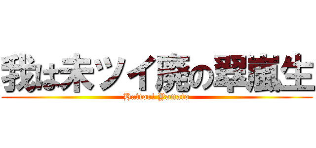 我は未ツイ廃の翠嵐生 (Hattori Yamato)