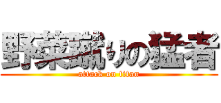 野菜蹴りの猛者 (attack on titan)