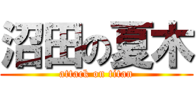 沼田の夏木 (attack on titan)